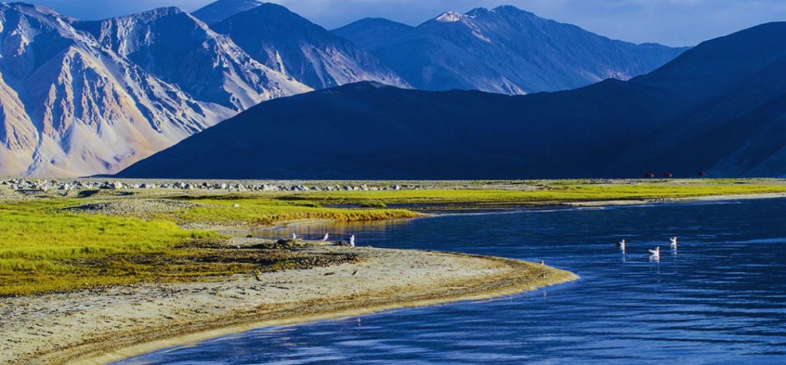 Leh, Ladakh, Trek, Mountain, Pangong Lake, Shanti Stupa