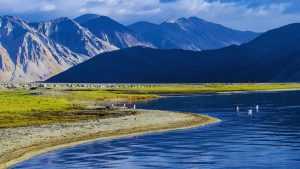 Leh, Ladakh, Trek, Mountain, Pangong Lake, Shanti Stupa