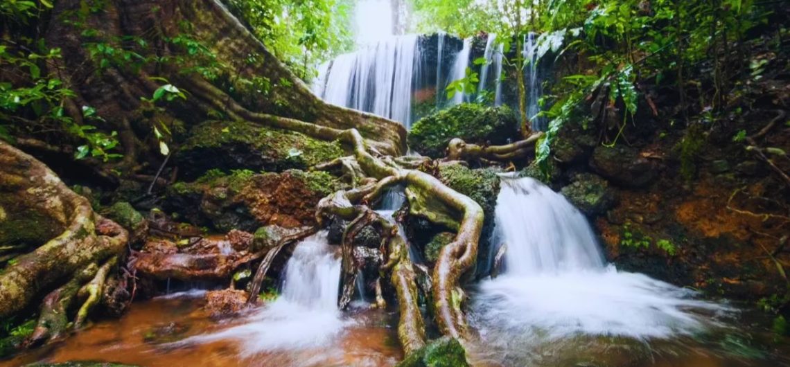 Valparai, Agumbe, Monsoon, Coast, Maharashtra, Karnataka, Tamil Nadu