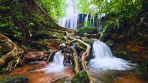 Valparai, Agumbe, Monsoon, Coast, Maharashtra, Karnataka, Tamil Nadu