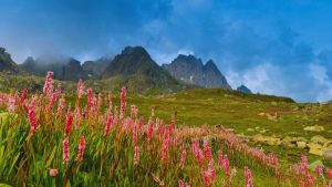 Meghalaya, Cherrapunji, Athirappilly, Uttarakhand, Kodaikanal, Spiti