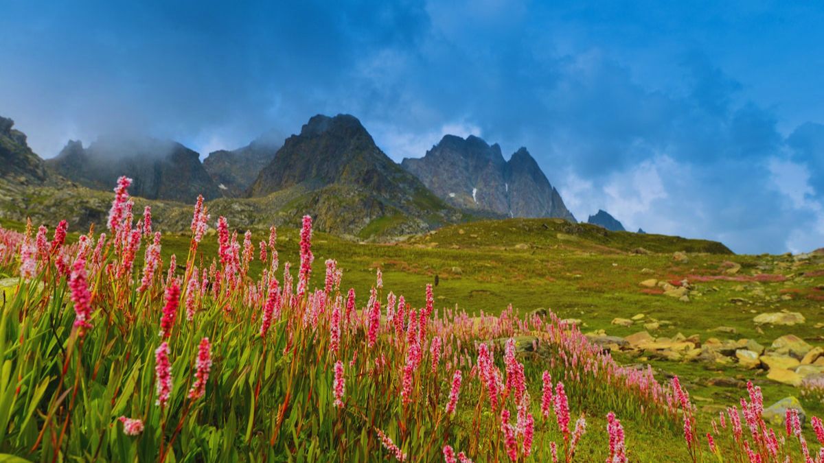 Meghalaya, Cherrapunji, Athirappilly, Uttarakhand, Kodaikanal, Spiti