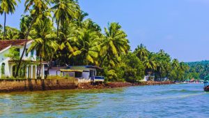 Honeymoon, Goa, Udaipur, Kerala, Srinagar, Andaman
