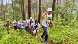 Eco Tourism, India, Periyar, Kerala, Coorg, Sunderbans, Uttarakhand, Munnar, Spiti Valley, Ladakh