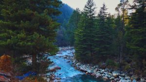 offbeat hill stations near Delhi, hidden hill stations near Delhi, weekend getaways from Delhi, peaceful hill stations near Delhi, less crowded hill stations, offbeat places to visit near Delhi, Uttarakhand offbeat destinations, Himachal hidden gems, best hill stations for weekend trips, unexplored hill stations in India, nature escapes near Delhi, best offbeat hill stations near Delhi for weekend trip, quiet mountain destinations near Delhi for couples, offbeat Uttarakhand hill stations under 400 km, peaceful hill stations near Delhi for 2–3 day trip, hidden gems in Himachal Pradesh near Delhi, nature and adventure offbeat destinations from Delhi, forest stays near Delhi for peaceful holiday, birdwatching destinations near Nainital, eco-friendly hill getaways near Delhi, less crowded mountain places for summer escape