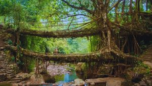 hidden natural wonders of India, offbeat travel destinations India, nature travel India, unexplored places in India, unique travel experiences India, adventure destinations India, eco tourism India, best nature spots India, hidden gems India, travel bucket list India, natural heritage India, Indian landscapes, sustainable tourism India, travel guide India Manipur Gujarat Maharashtra Meghalaya, Western Ghats