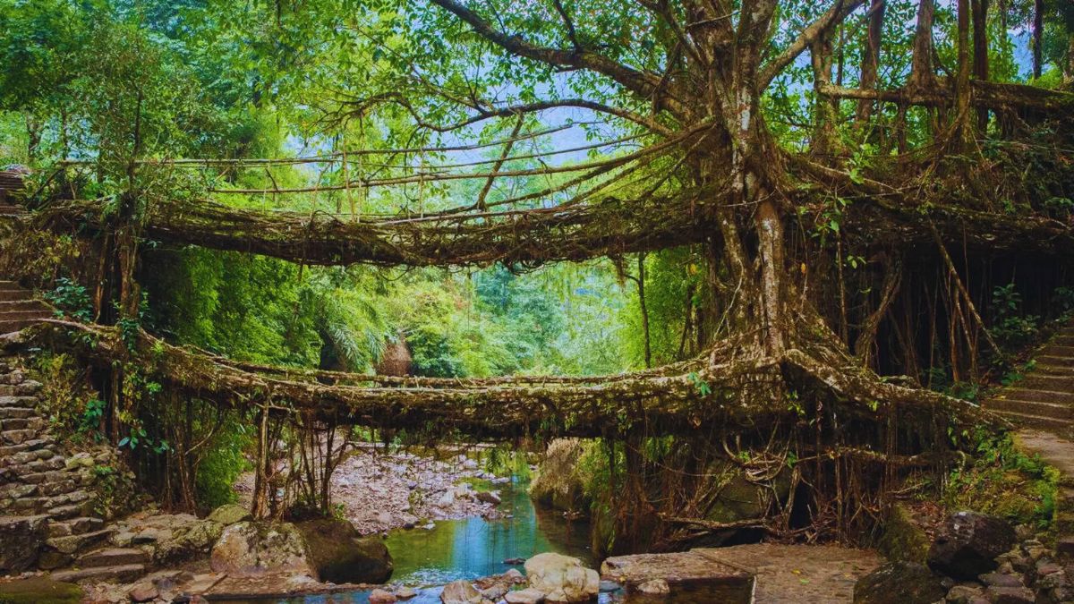 hidden natural wonders of India, offbeat travel destinations India, nature travel India, unexplored places in India, unique travel experiences India, adventure destinations India, eco tourism India, best nature spots India, hidden gems India, travel bucket list India, natural heritage India, Indian landscapes, sustainable tourism India, travel guide India Manipur Gujarat Maharashtra Meghalaya, Western Ghats