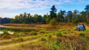 night safari in India, Satpura National Park night safari, Pench night safari, Bhimashankar fireflies, bioluminescent trails India, Mhadei Wildlife Sanctuary Goa, Sundarbans night boat safari, best wildlife experiences India, nocturnal wildlife India, night tourism India