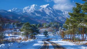best snow destinations in India, snowfall places in India, winter destinations India 2025, Gulmarg snow travel, Manali winter trip, Auli skiing India, Shimla in winter, Tawang snow season, Lachung Sikkim snow, Nainital snowfall, Dalhousie winter travel, Kufri snow, Pahalgam winter, hill stations with snow, India snow holidays.